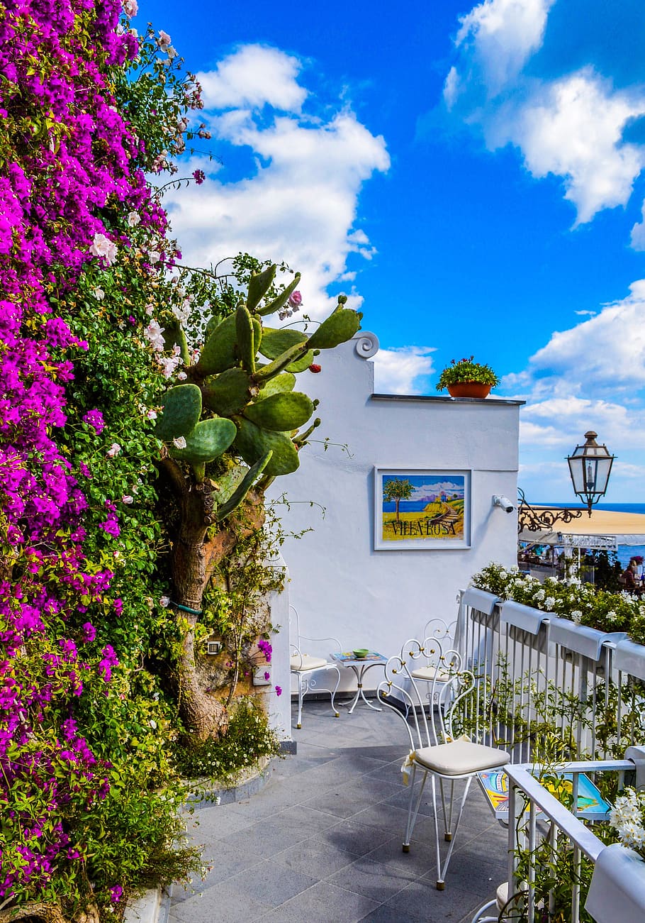 Veranda Surrounded by Green Cactus and Pink Bougainvillea, architecture HD wallpaper