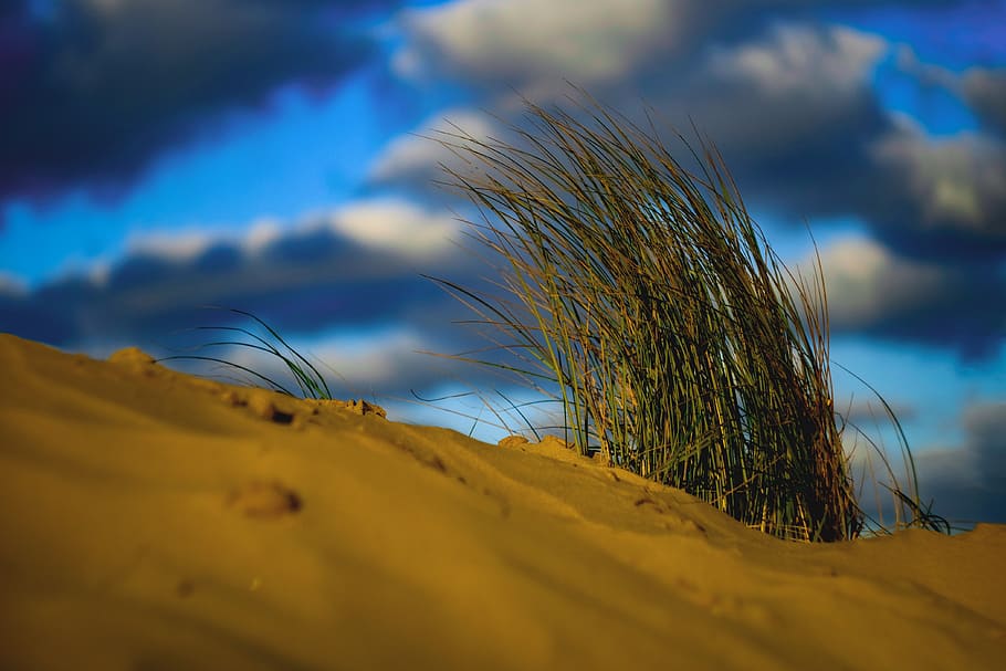 beach, clouds, colors, grass, sand, coast, ocean, sea, sky HD wallpaper