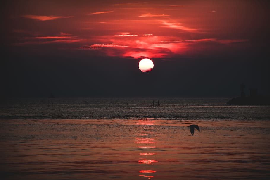 sunset photo, mood, color, sea, cloud, moody, halloween, hd wallpaper HD wallpaper
