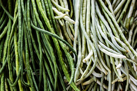 bundle of string beans, vegetable, food, flora, plant, produce HD wallpaper