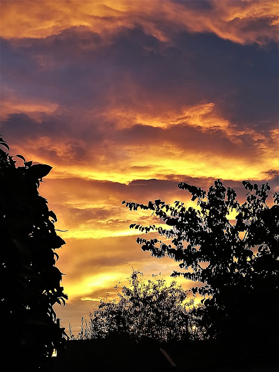 nature, sunlight, outdoors, sunset, dawn, dusk, red sky, silhouette HD wallpaper