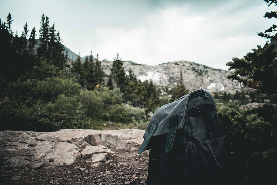 Close-Up Photography of Black Backpack, bag, blur, depth of field HD wallpaper