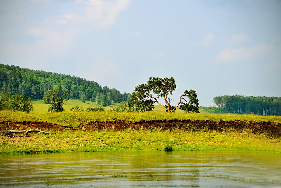 river, nature, tourism, clouds, green, sky, summer, ural, tree HD wallpaper