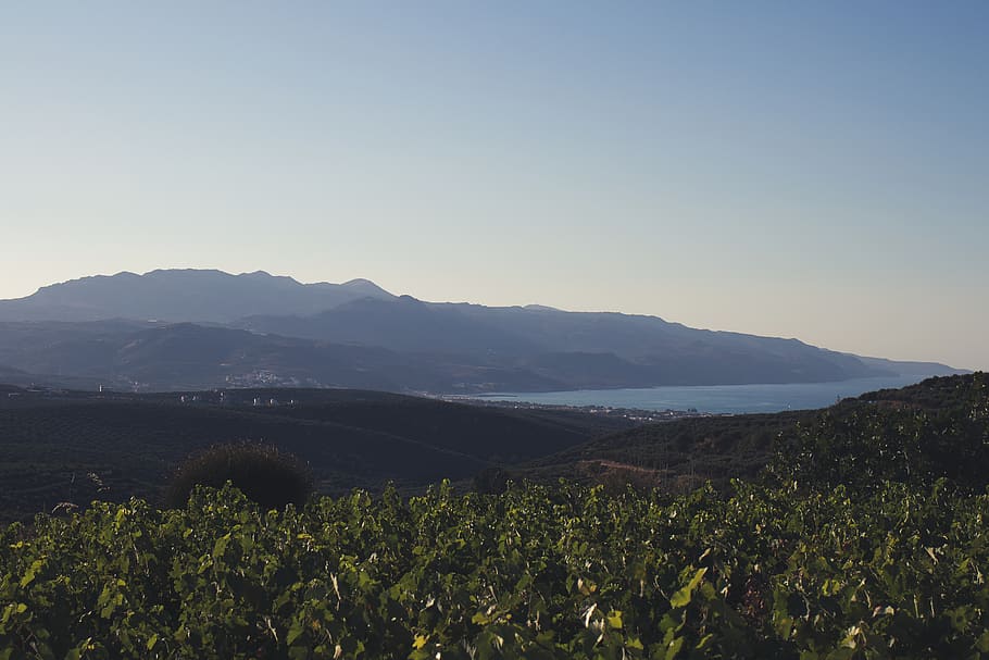 view, hills, mountains, plants, green, blue, sky, ocean, sea HD wallpaper