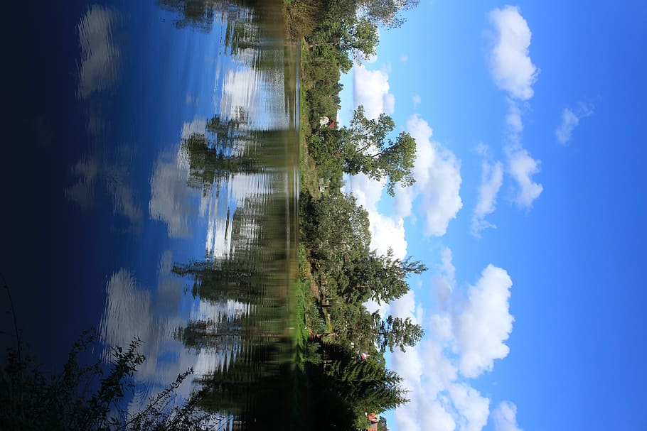 reflection, cloud - sky, tree, plant, water, nature, day, no people HD wallpaper
