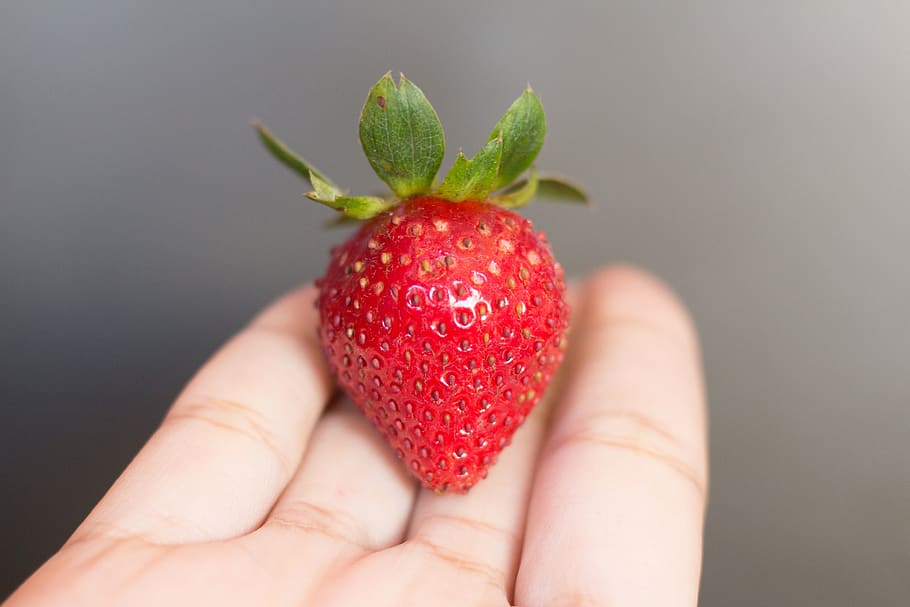 hand, palm, red, fruit, strawberry, seed, food, healthy eating HD wallpaper