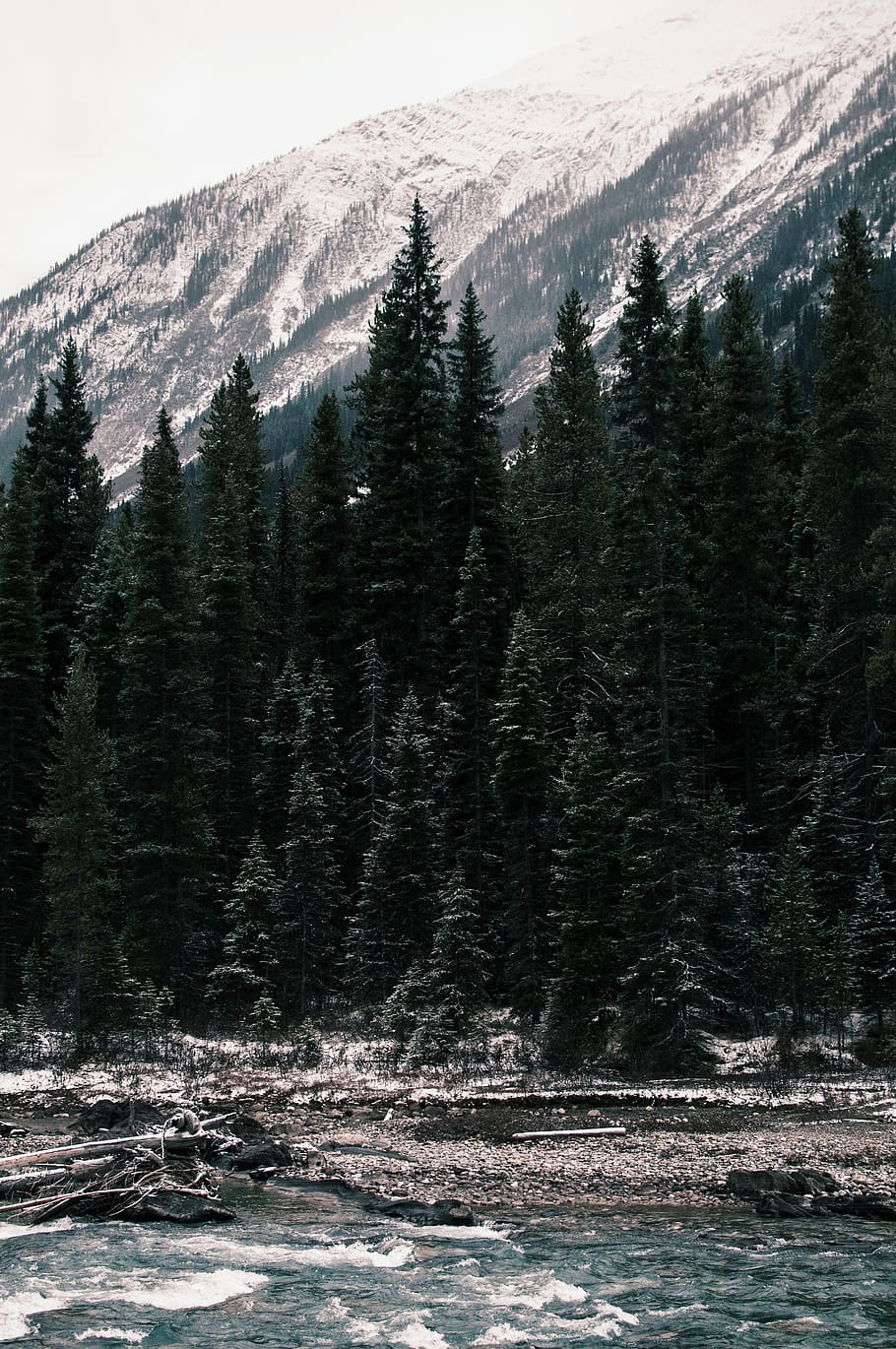 alberta, explore, layers, river, trees, mountains, landscape HD wallpaper