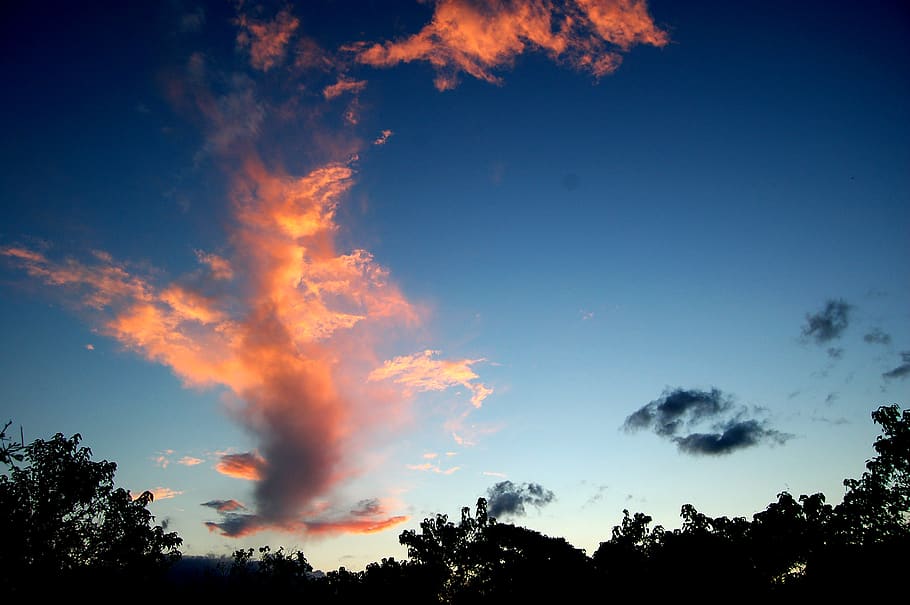 botswana, tuli wilderness, trees, sunset, africa, nature, clouds HD wallpaper