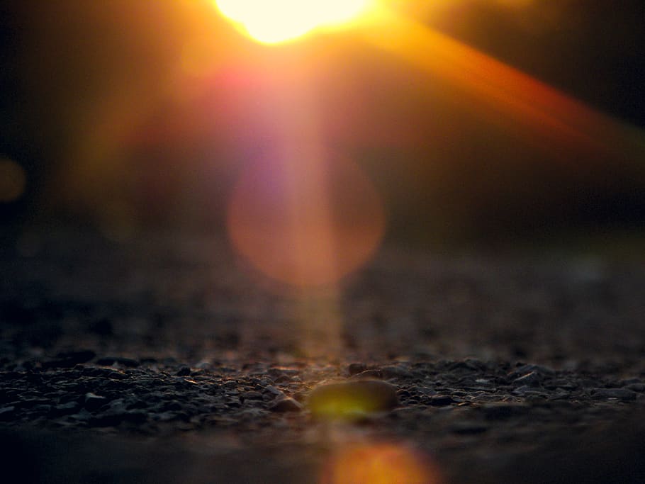 blur, sun, macro, light, rocks, flor, zoom, selective focus, HD wallpaper