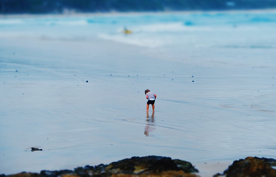 child on seashore, byron bay, australia, leisure activities, outdoors, HD wallpaper