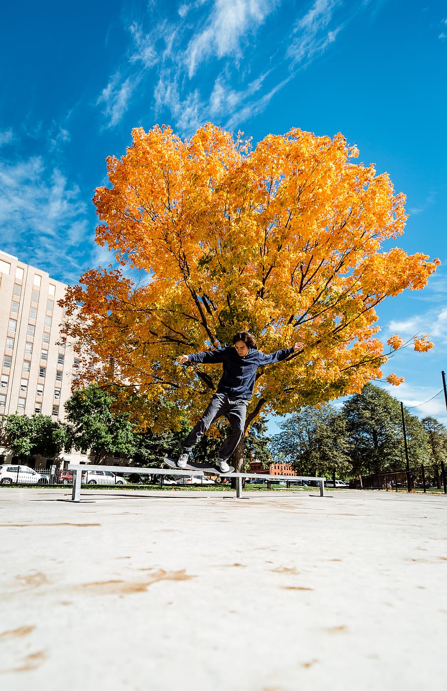 man playing skateboard during daytime, tree, plant, person, human HD wallpaper