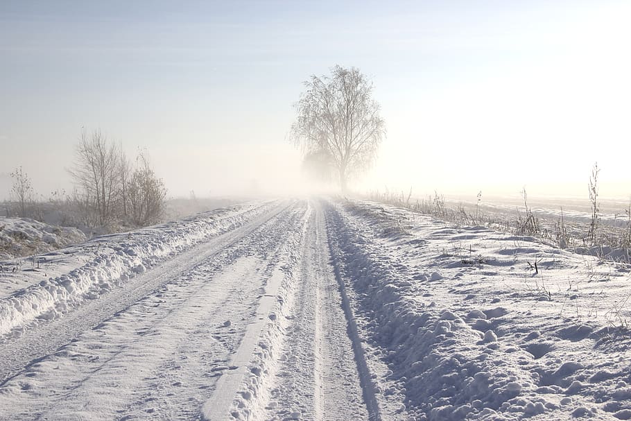 finland, seinäjoki, snow, cold temperature, tree, plant, winter HD wallpaper
