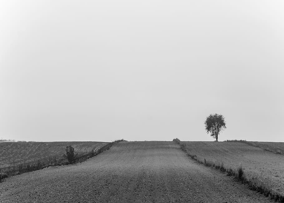 rural, countryside, road, fields, grass, farm, agriculture HD wallpaper