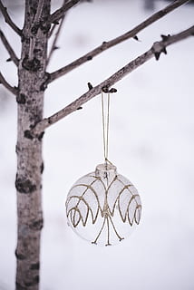 white Christmas bauble, animal, bird, plant, tree, lamp, abies HD wallpaper