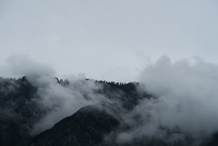 austria, hallstatt, cloud, trees, dark, white, opaque, fog HD wallpaper