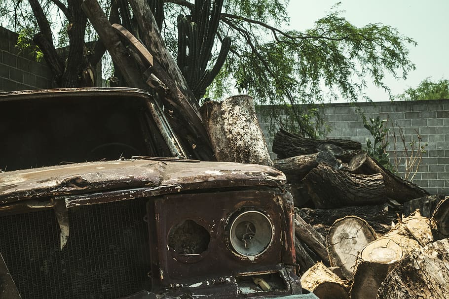 Brown Vehicle Beside Tree Trunks, abandoned, bark, branch, broken HD wallpaper