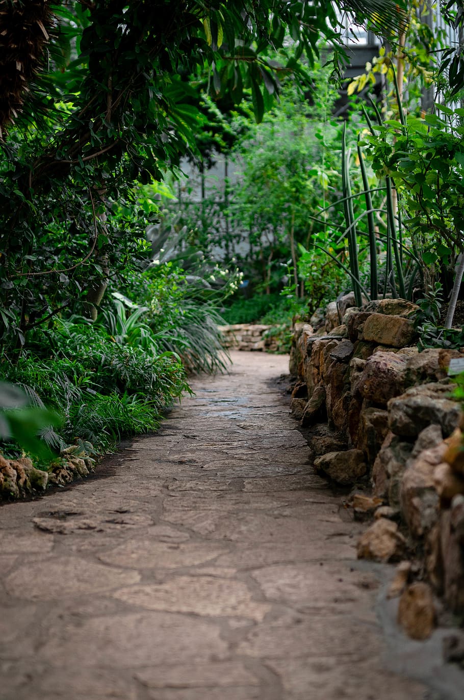 empty pathway during daytime, plant, direction, the way forward HD wallpaper