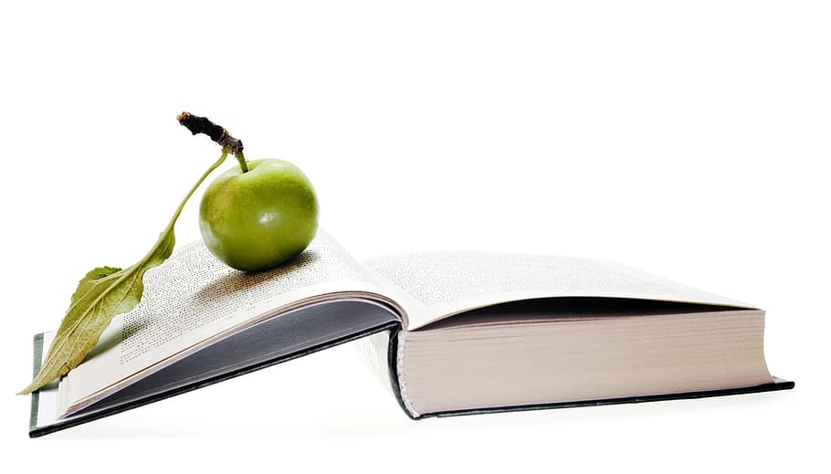 apple, back, book, building, business, close-up, collection HD wallpaper