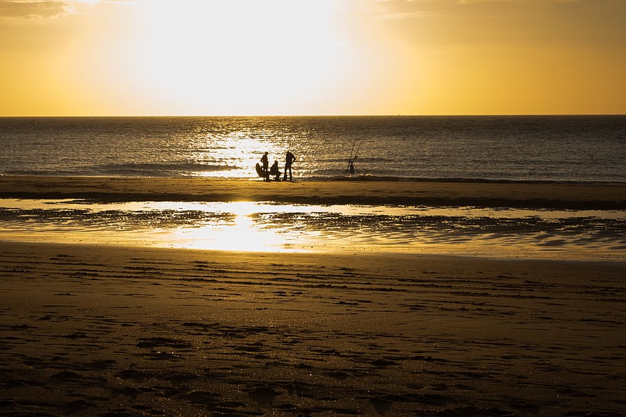 beach, evening light, sunset, coast, water, sea, north sea HD wallpaper