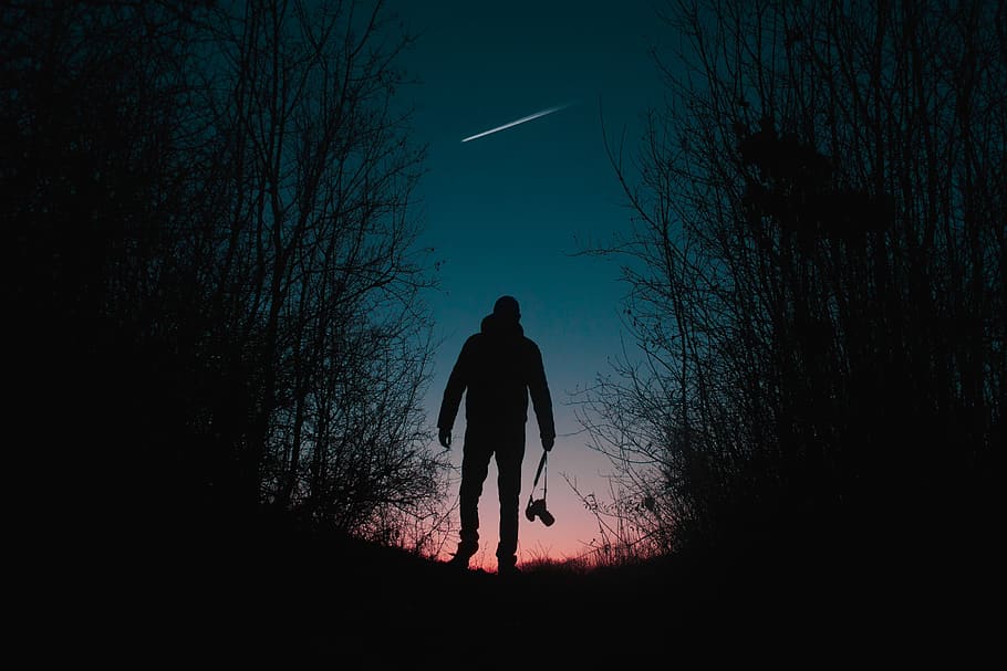 Silhouette Of Man And Trees, backlit, dark, evening, long-exposure HD wallpaper