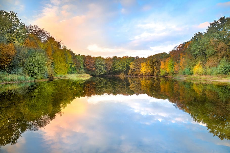 lake, reflection, trees, autumn, water, nature, landscape, sky HD wallpaper