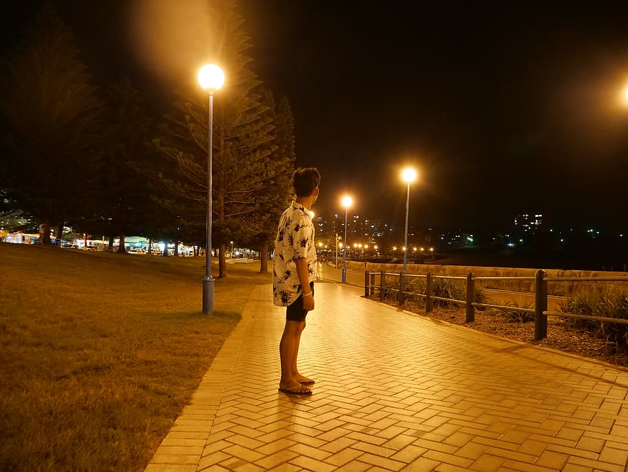 australia, sydney, alone, illuminated, night, street, street light HD wallpaper
