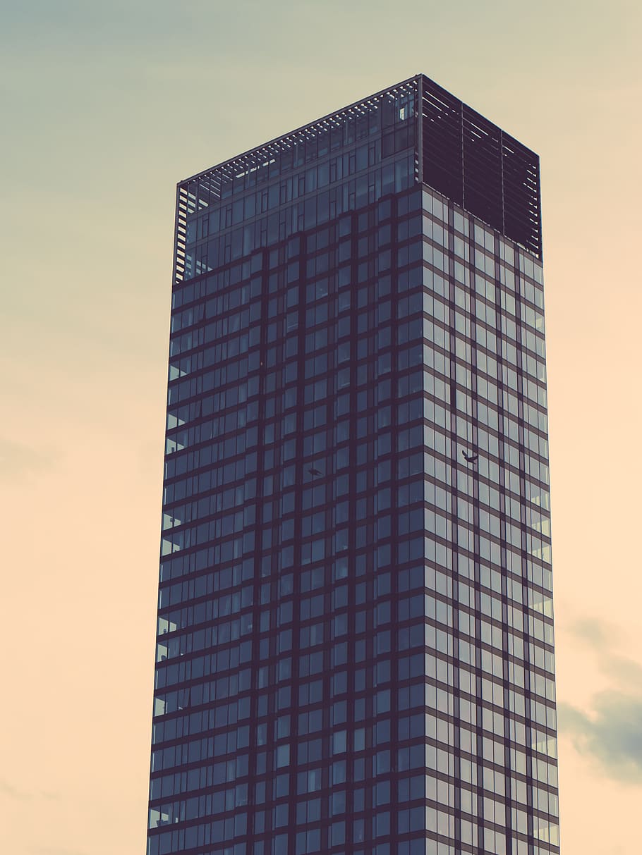 poland, warsaw, built structure, office building exterior, architecture HD wallpaper