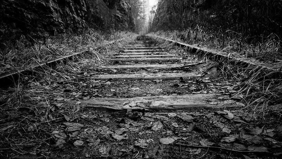 rail, trail, train, grass, black and white, wood, forest, woods HD wallpaper