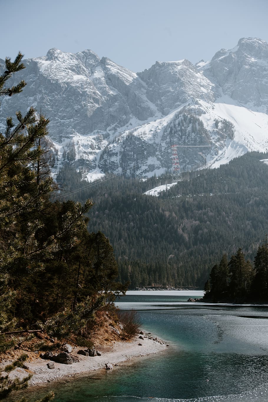 mountain peak and body of water, plant, tree, abies, fir, nature