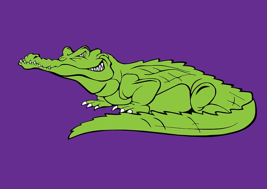 croc, crocodile, graphic, graphical, animal, reptile, lizard HD wallpaper