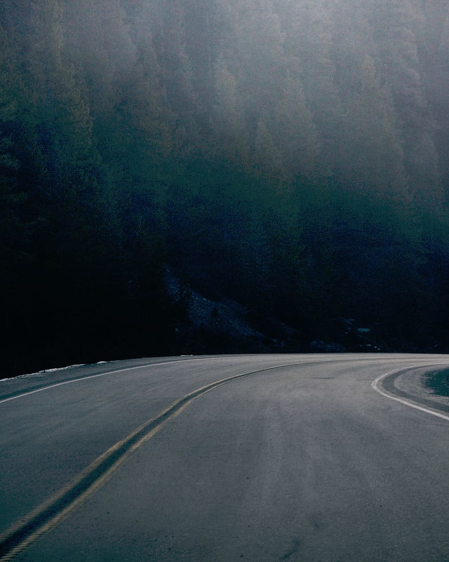 nature, empty, road, trees, woods, forest, transportation, symbol HD wallpaper