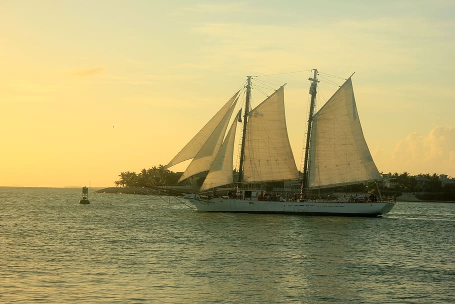 boat, ship, activity, sail, sailing, river, nature, water, sky HD wallpaper
