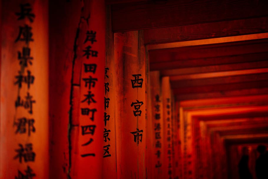 brown concrete tunnel, kyoto, fushimi inari-taisha, japan, text, HD wallpaper