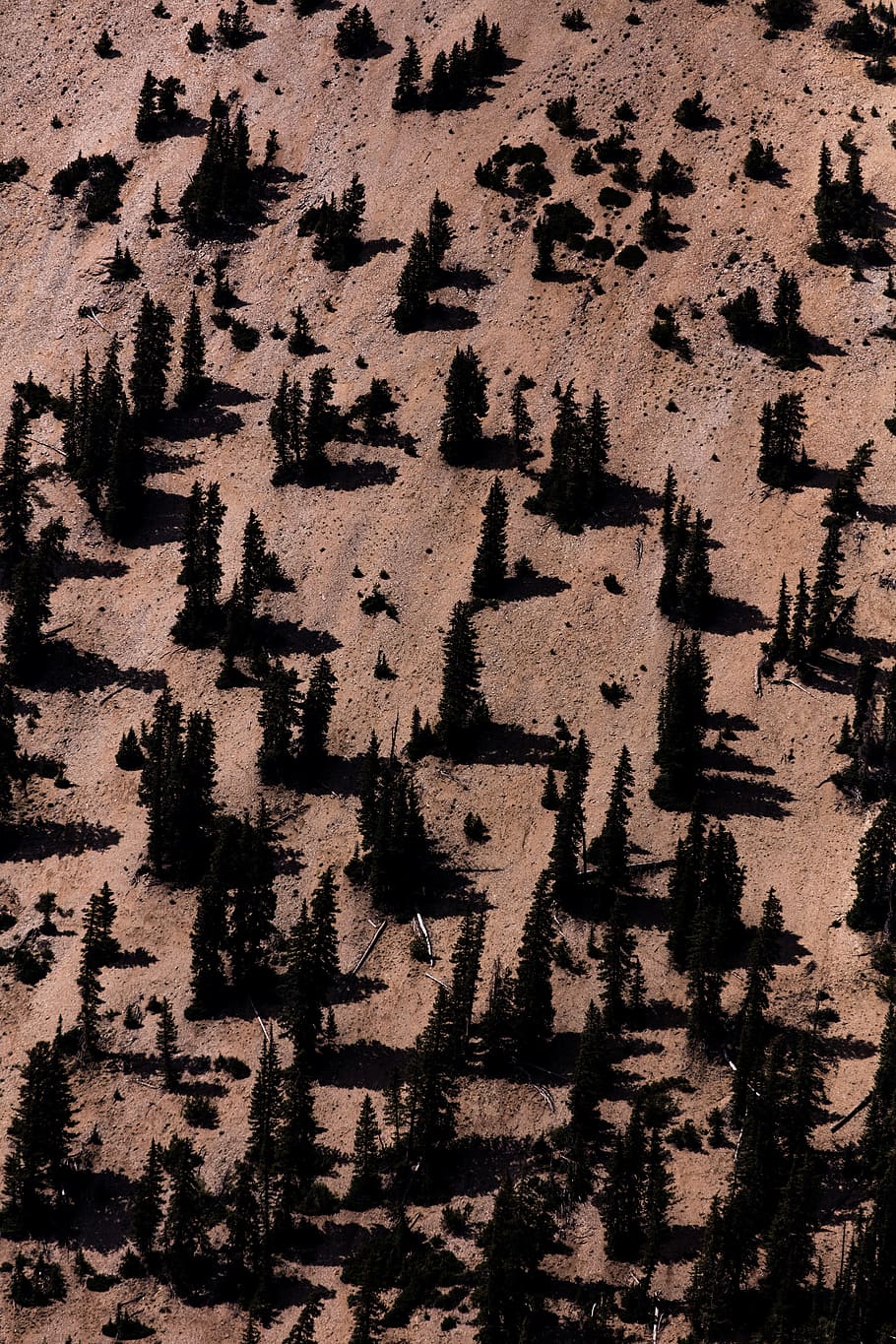 aerial photography of trees on hill, mountain, cliff, shadow HD wallpaper