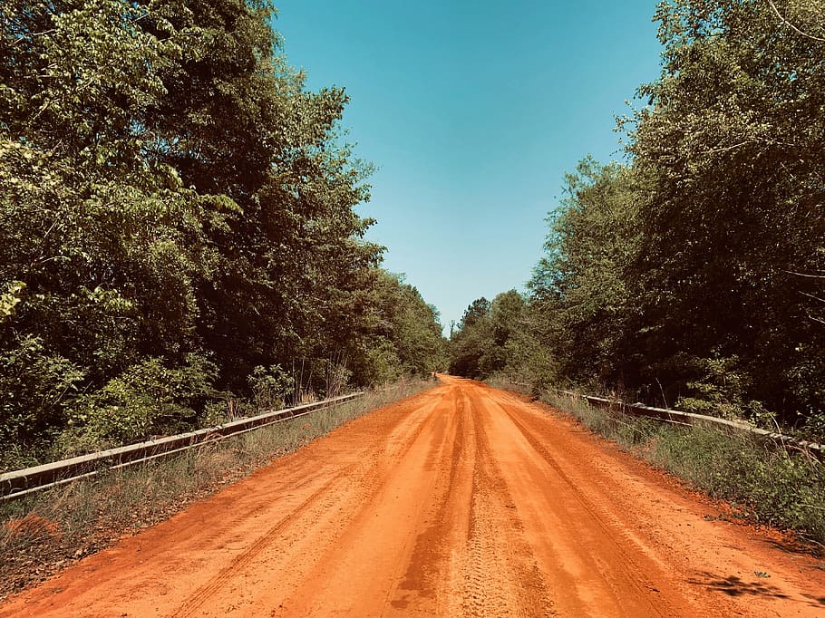 no vehicle on pathway in between trees, plant, direction, the way forward HD wallpaper