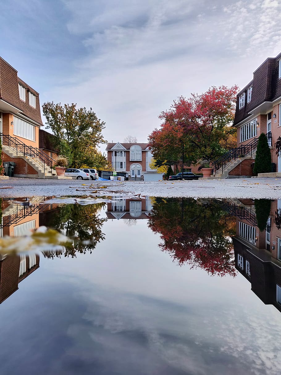 Cars Near Houses, architecture, puddle, reflection, street, building exterior HD wallpaper