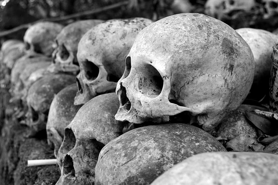 Grey Skulls Piled on Ground, anatomy, bali, balinese, biology, HD wallpaper