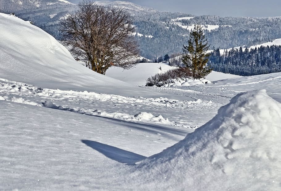 snow, trees, mountains, winter, cold temperature, tranquility HD wallpaper