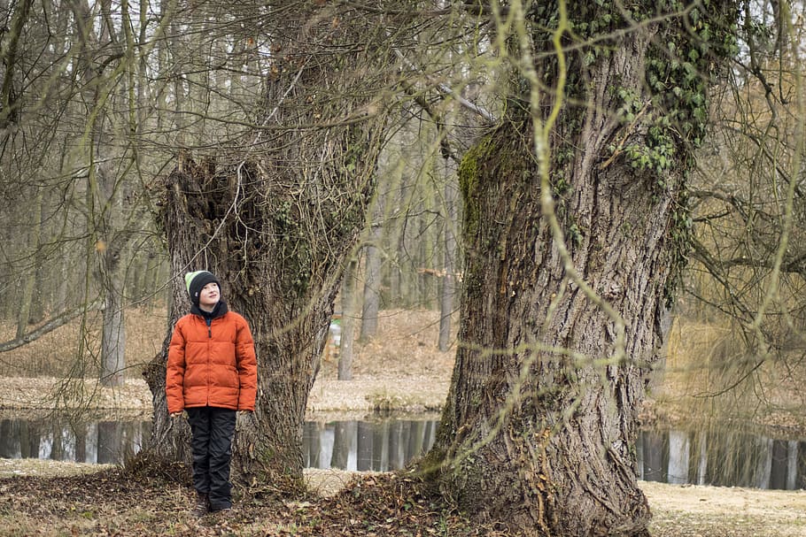 Person Wearing Orange Zip Up Bubble Jacket, boy, solo, trees HD wallpaper