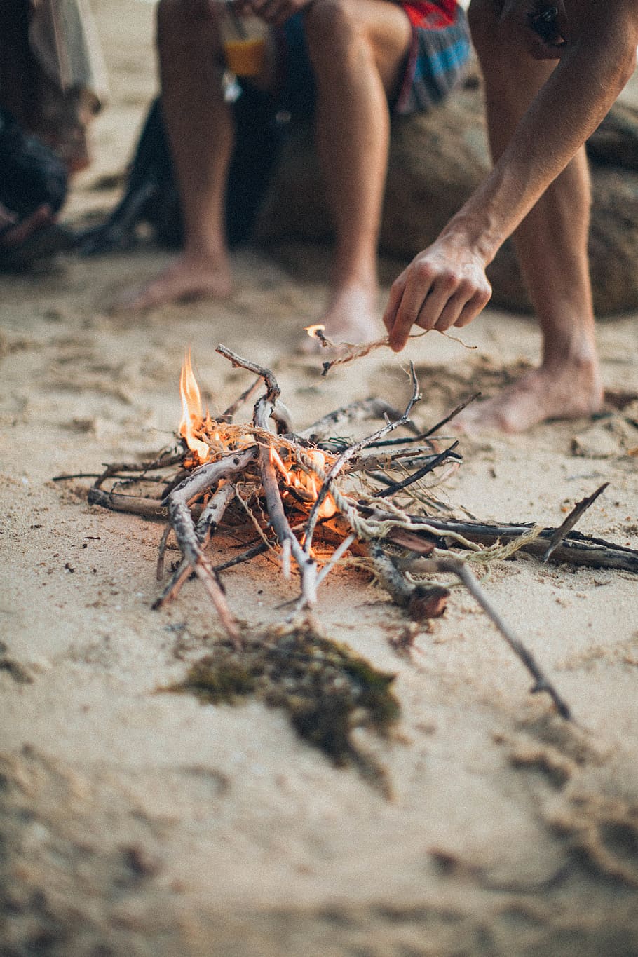 Man Putting Stick on Fire, burning, daylight, flames, hot, leisure HD wallpaper