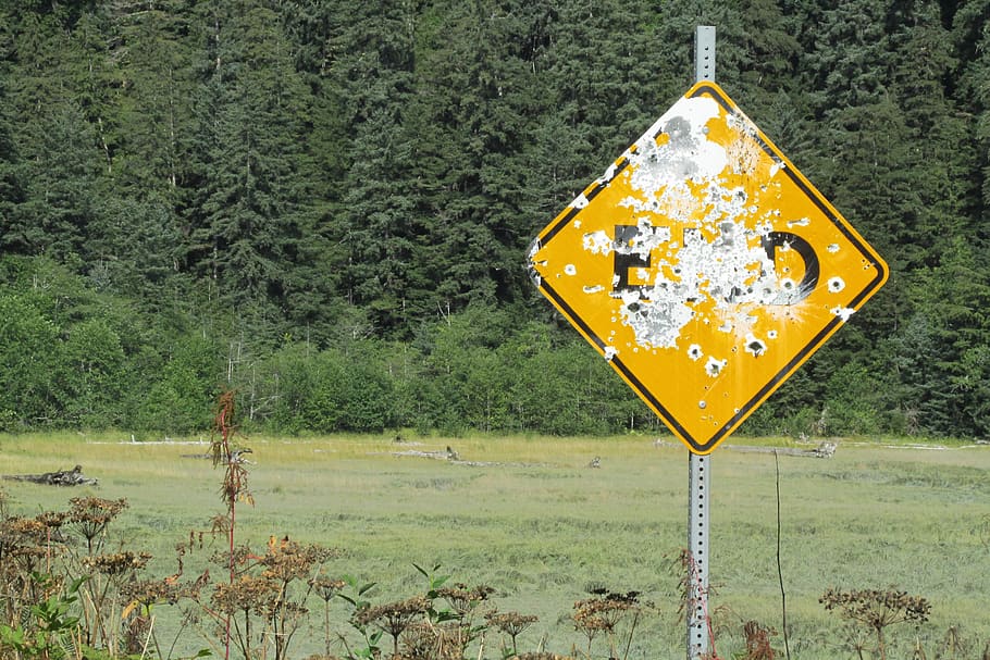 sign, road sign, bullet holes, yellow, green, trees, forest