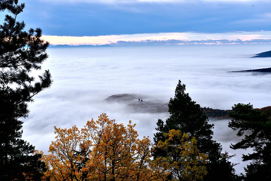 landscape, mountain, nature, clouds, hiking, hills, tree, plant HD wallpaper