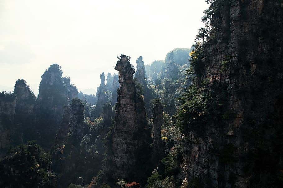china, zhangjiajie, nature, landscape, forest, national park