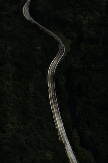 winding asphalt road surrounded by tall trees aerial photography HD wallpaper