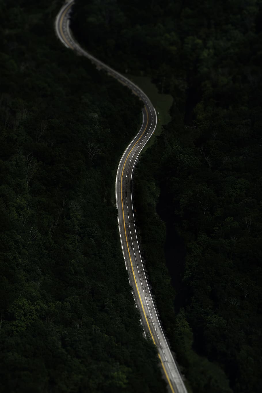 winding asphalt road surrounded by tall trees aerial photography HD wallpaper