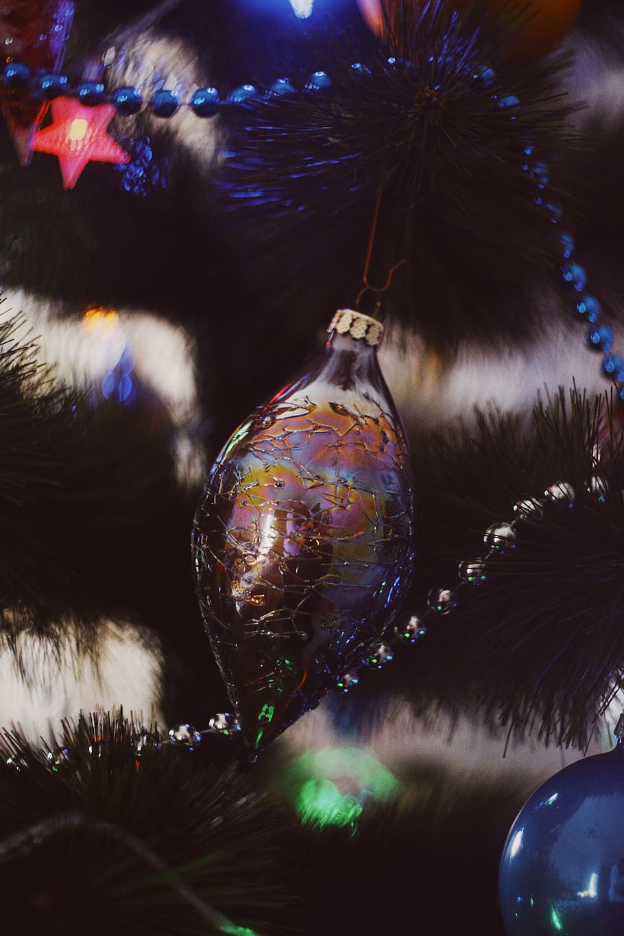 iridescent bauble, ornament, plant, tree, bird, animal, bottle HD wallpaper