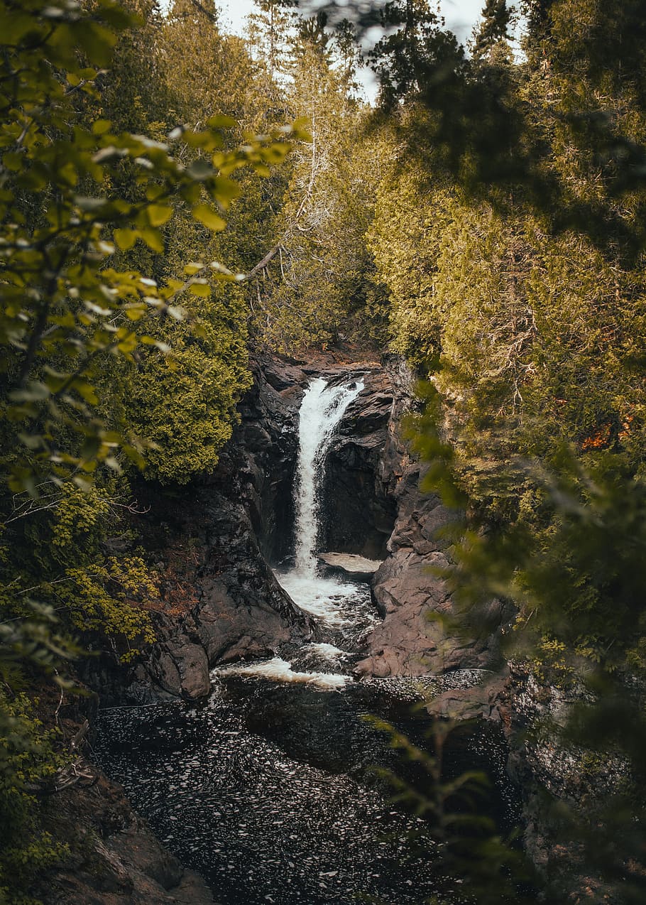 waterfalls surrounded with plants, rock, leaf, leaves, tree, forest HD wallpaper