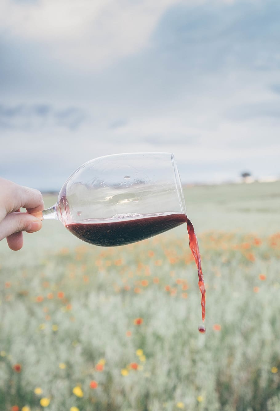 clear wine glass, holding, one person, human hand, focus on foreground HD wallpaper