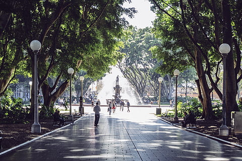 water, australia, tree, bench, hyde park, sydney, statue, stroll HD wallpaper
