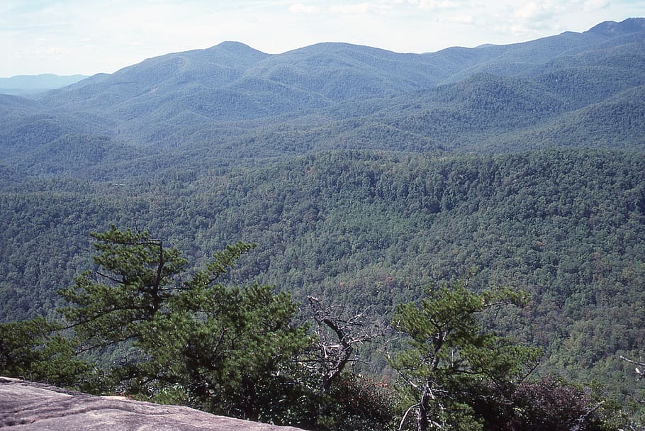 united states, pisgah forest, north carolina, appalachian, smokies, HD wallpaper